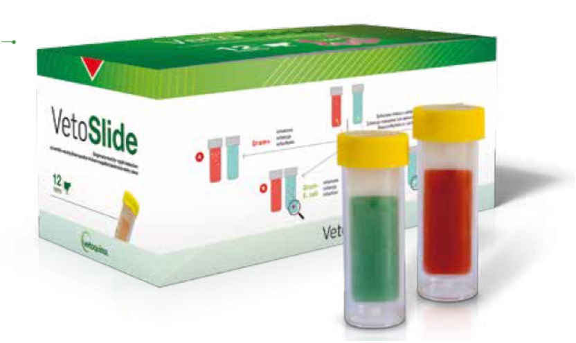 vetoslide_box1.jpg