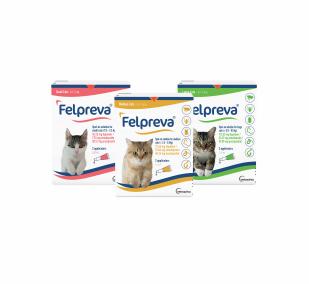 Felpreva