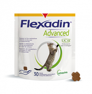 Flexadin Advanced koty